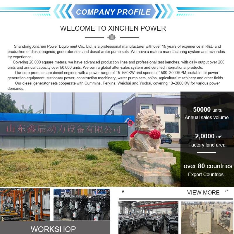 Factory Direct Sales Zh4105 Four-Cylinder Four-Stroke 1500 Rpm~2400 Rpm Fixed Power Diesel Engine